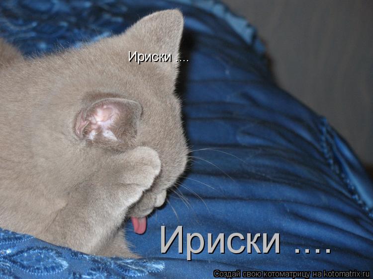 Ириски .... Ириски ....... Котоматрица: Ириски .... Ириски ....