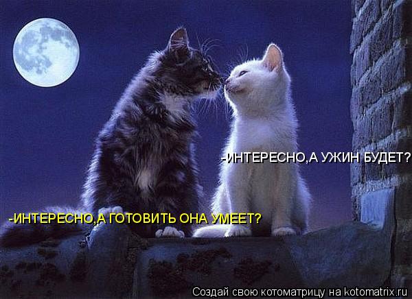 Котоматрица: -ИНТЕРЕСНО,А УЖИН БУДЕТ? -ИНТЕРЕСНО,А ГОТОВИТЬ ОНА УМЕЕТ?
