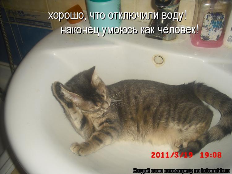 хорошо, что отключили воду! наконец умоюсь как человек!... Котоматрица: хорошо, что отключили воду! наконец умоюсь как человек!