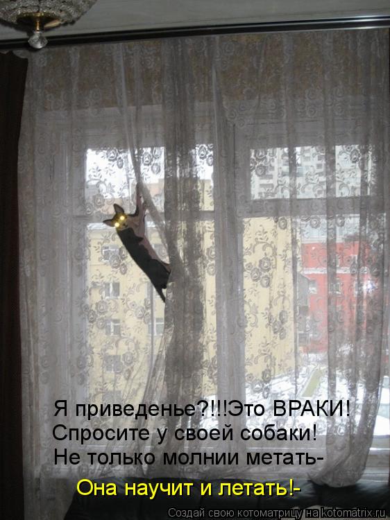 Котоматрица: Я приведенье?!!!Это ВРАКИ! Спросите у своей собаки! Не только молнии метать- Она научит и летать!-