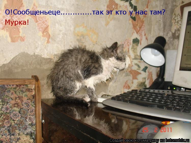 Котоматрица: О!Сообщеньеце.............так эт кто у нас там? Мурка!