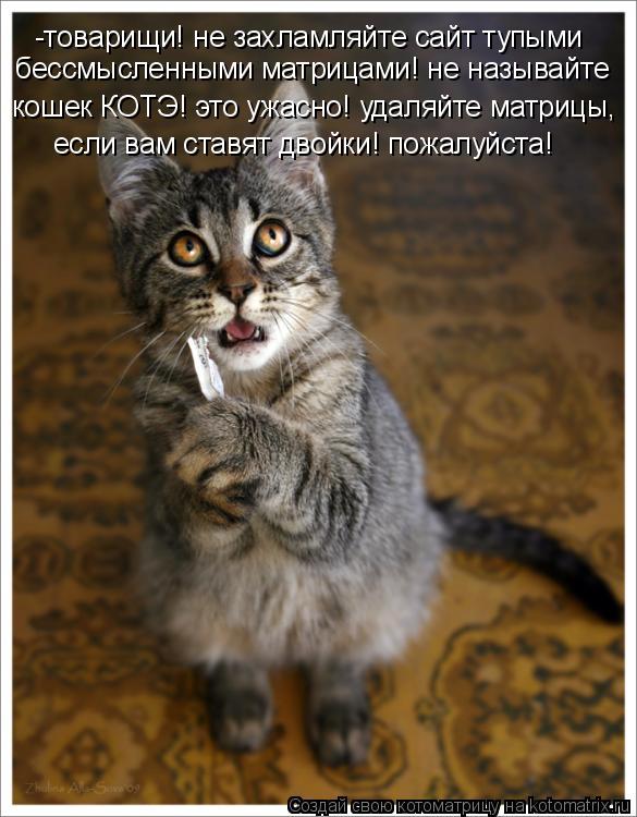 Котоматрица: -товарищи! не захламляйте сайт тупыми  бессмысленными матрицами! не называйте кошек КОТЭ! это ужасно! удаляйте матрицы, если вам ставят двой