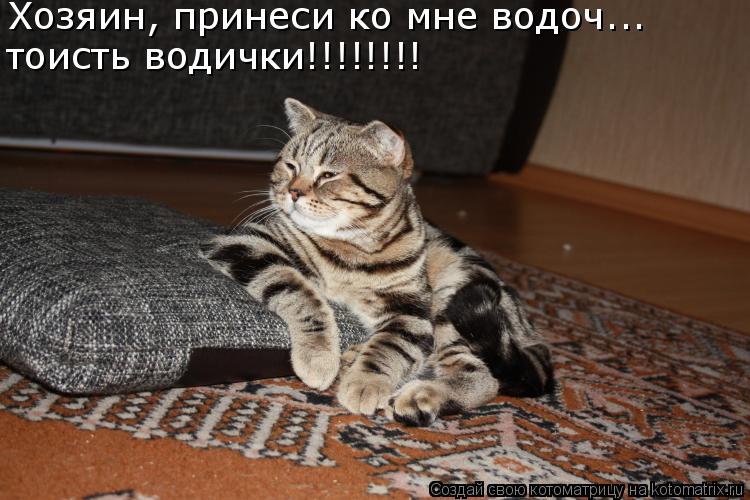 Котоматрица: Хозяин, принеси ко мне водоч...  тоисть водички!!!!!!!!
