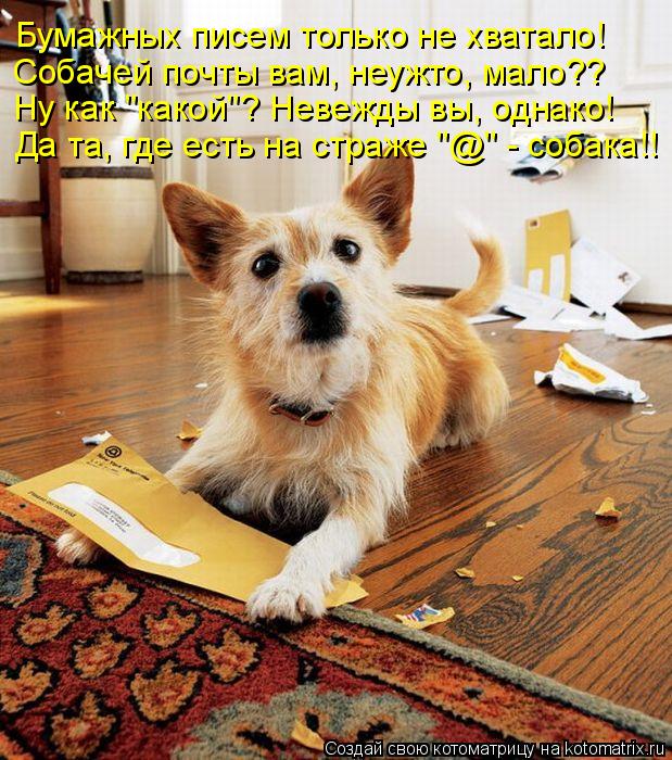 Бумажных писем только не хватало! Собачей почты вам, неужто, мало?? Ну как "какой"? Невежды вы, однак... Котоматрица: Бумажных писем только не хватало! Собачей почты вам, неужто, мало?? Ну как "какой"? Невежды вы, однако! Да та, где есть на страже "@" - собака!!