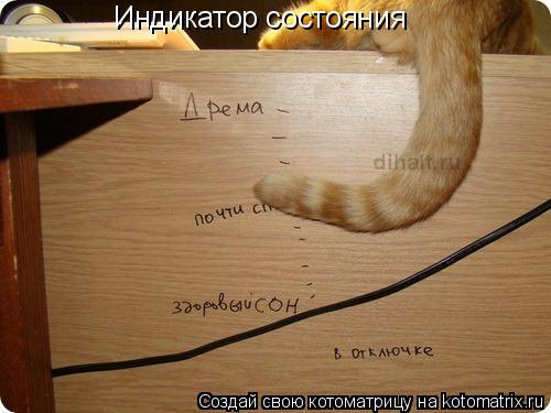 Индикатор состояния... Котоматрица: Индикатор состояния