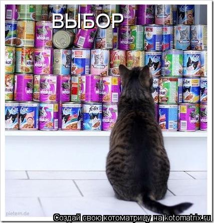 Котоматрица: ВЫБОР