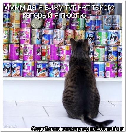 Мммм да я вижу тут нет такого каторый я люблю... Котоматрица: Мммм да я вижу тут нет такого каторый я люблю