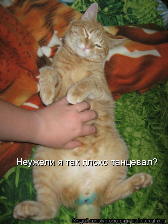 Неужели я так плохо танцевал?... Котоматрица: Неужели я так плохо танцевал?