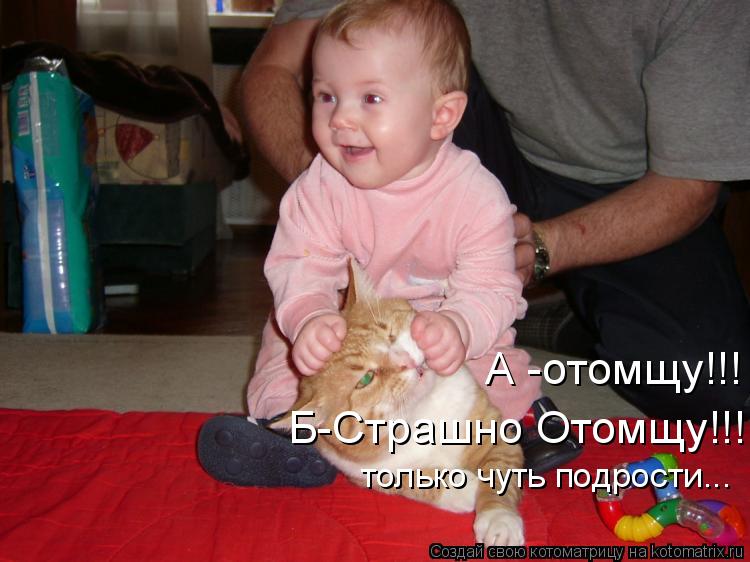 А -отомщу!!! Б-Страшно Отомщу!!! только чуть подрости...... Котоматрица: А -отомщу!!! Б-Страшно Отомщу!!! только чуть подрости...