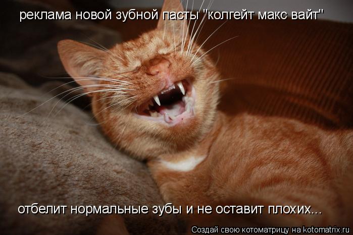 реклама новой зубной пасты "колгейт макс вайт" отбелит нормальные зубы и не оставит плохих...... Котоматрица: реклама новой зубной пасты "колгейт макс вайт" отбелит нормальные зубы и не оставит плохих...