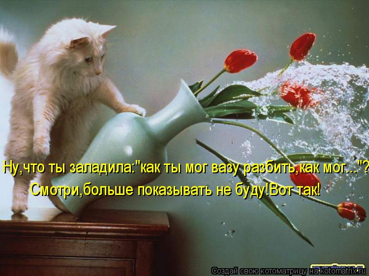 Ну,что ты заладила:"как ты мог вазу разбить,как мог..."? Смотри,больше показывать не буду!Вот так!... Котоматрица: Ну,что ты заладила:"как ты мог вазу разбить,как мог..."? Смотри,больше показывать не буду!Вот так!