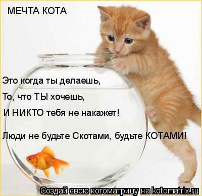 МЕЧТА КОТА Это когда ты делаешь, То, что ТЫ хочешь, И НИКТО тебя не накажет! Люди не будьте Скотами, ... Котоматрица: МЕЧТА КОТА Это когда ты делаешь, То, что ТЫ хочешь, И НИКТО тебя не накажет! Люди не будьте Скотами, будьте КОТАМИ!