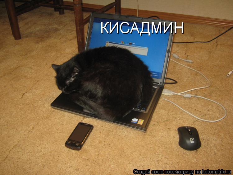 КИСАДМИН... Котоматрица: КИСАДМИН