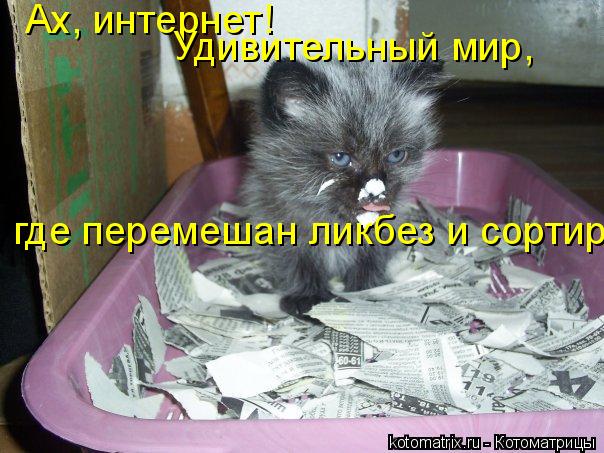 где перемешан ликбез и сортир... Ах, интернет! Удивительный мир,... Котоматрица: где перемешан ликбез и сортир... Ах, интернет! Удивительный мир,