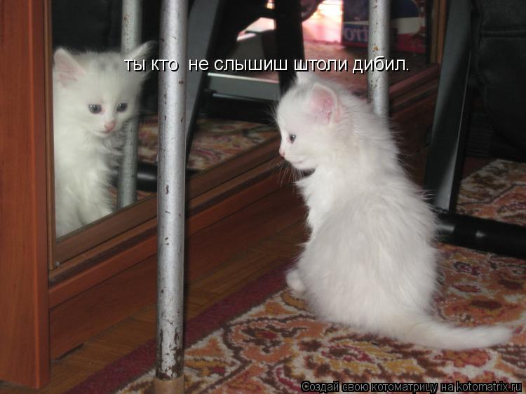 ты кто не слышиш штоли дибил.... Котоматрица: ты кто не слышиш штоли дибил.