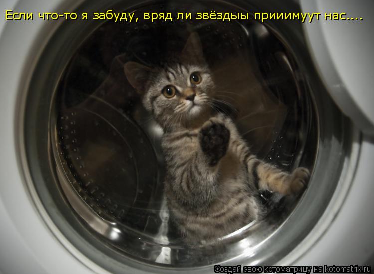 Если что-то я забуду, вряд ли звёздыы прииимуут нас....... Котоматрица: Если что-то я забуду, вряд ли звёздыы прииимуут нас....