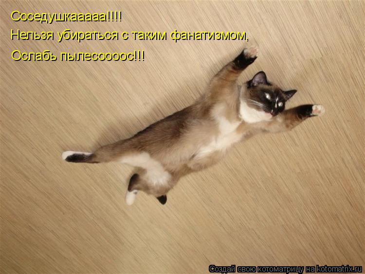 Котоматрица: Соседушкааааа!!!! Нельзя убираться с таким фанатизмом, Ослабь пылесоооос!!!