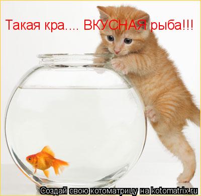 Такая кра.... ВКУСНАЯ рыба!!!... Котоматрица: Такая кра.... ВКУСНАЯ рыба!!!