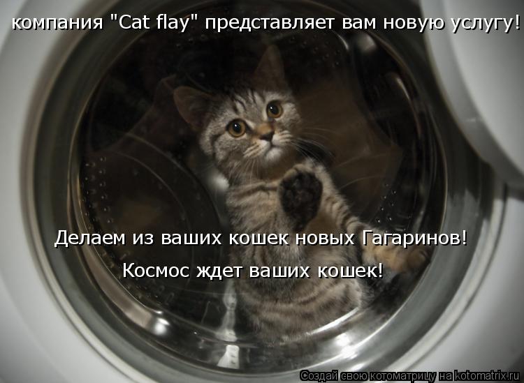 компания "Cat flay" представляет вам новую услугу! Делаем из ваших кошек новых Гагаринов! Космос ждет... Котоматрица: компания "Cat flay" представляет вам новую услугу! Делаем из ваших кошек новых Гагаринов! Космос ждет ваших кошек!