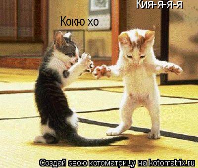 Котоматрица: Кия-я-я-я Кокю хо