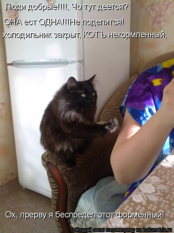 холодильник закрыт, КОТЪ некормленный, Ох, прерву я беспредел этот форменный! Люди добрые!!!!, Чо ту... Котоматрица: холодильник закрыт, КОТЪ некормленный, Ох, прерву я беспредел этот форменный! Люди добрые!!!!, Чо тут деется? ОНА ест ОДНА!!!Не поделится!