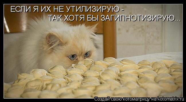 ЕСЛИ Я ИХ НЕ УТИЛИЗИРУЮ - ТАК ХОТЯ БЫ ЗАГИПНОТИЗИРУЮ...... Котоматрица: ЕСЛИ Я ИХ НЕ УТИЛИЗИРУЮ - ТАК ХОТЯ БЫ ЗАГИПНОТИЗИРУЮ...
