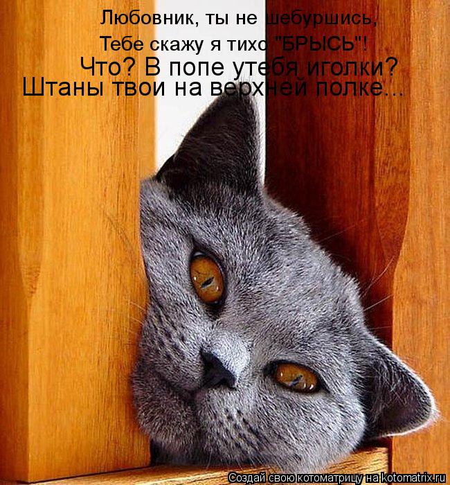 Любовник, ты не шебуршись, Тебе скажу я тихо "БРЫСЬ"! Что? В попе утебя иголки? Штаны твои на верхней... Котоматрица: Любовник, ты не шебуршись, Тебе скажу я тихо "БРЫСЬ"! Что? В попе утебя иголки? Штаны твои на верхней полке...