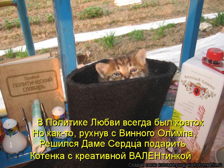 Котоматрица: Решился Даме Сердца подарить Котенка с креативной ВАЛЕНтинкой В Политике Любви всегда был краток Но как-то, рухнув с Винного Олимпа,