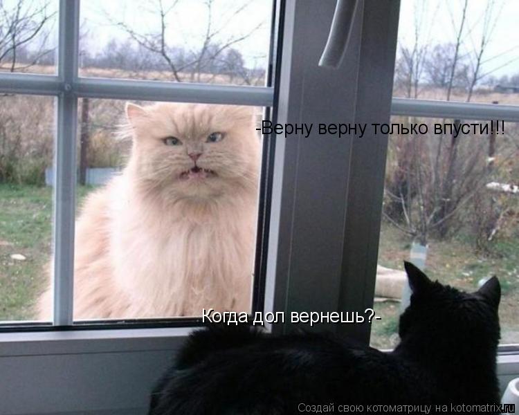Котоматрица: Когда дол вернешь?- -Верну верну только впусти!!!
