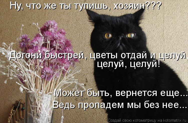 Котоматрица: Ну, что же ты тупишь, хозяин??? Догони быстрей, цветы отдай и целуй,  целуй, целуй! Может быть, вернется еще... Ведь пропадем мы без нее...