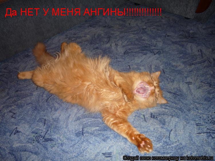 Котоматрица: Да НЕТ У МЕНЯ АНГИНЫ!!!!!!!!!!!!!!
