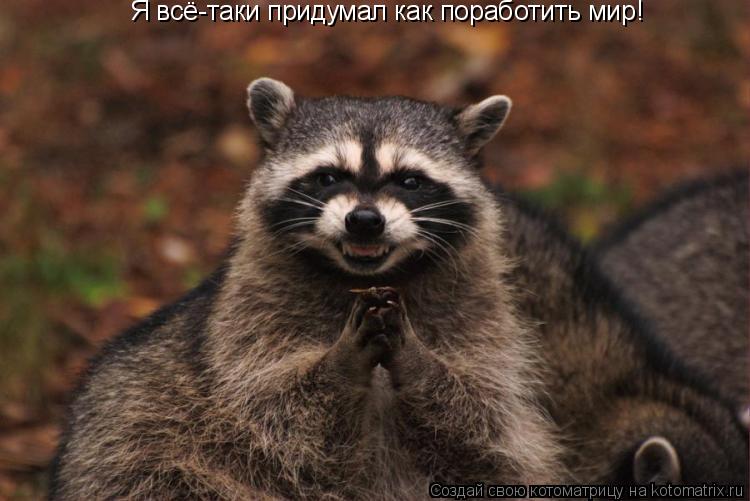 Котоматрица: Я всё-таки придумал как поработить мир!
