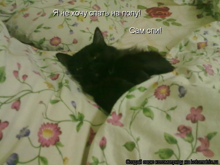 Котоматрица: Я не хочу спать на полу! Сам спи!