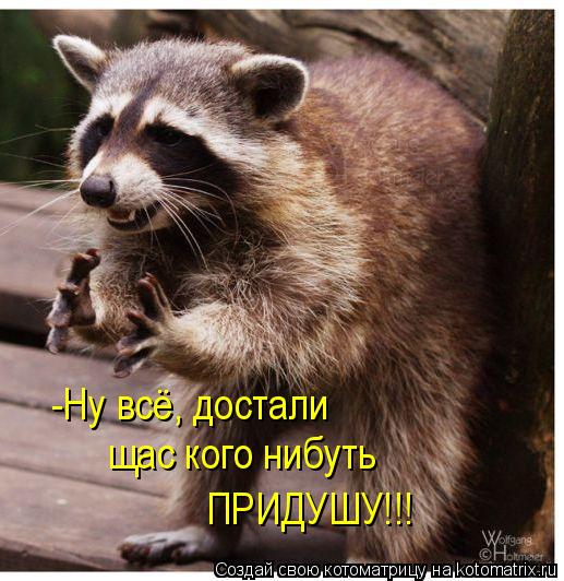 Котоматрица: -Ну всё, достали щас кого нибуть  ПРИДУШУ!!!