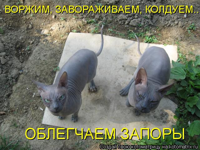 Котоматрица: ВОРЖИМ, ЗАВОРАЖИВАЕМ, КОЛДУЕМ... ОБЛЕГЧАЕМ ЗАПОРЫ