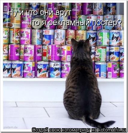 Ну и что они врут что я рекламный постер?... Котоматрица: Ну и что они врут что я рекламный постер?