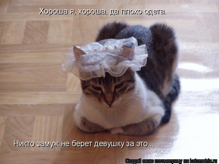 Хороша я, хороша, да плохо одета. Никто замуж не берет девушку за это...... Котоматрица: Хороша я, хороша, да плохо одета. Никто замуж не берет девушку за это...