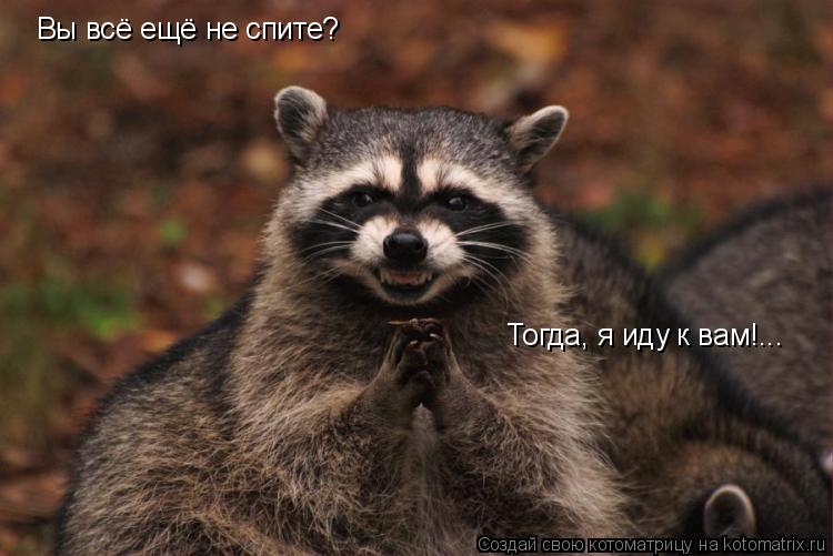 Вы всё ещё не спите? Тогда, я иду к вам!...... Котоматрица: Вы всё ещё не спите? Тогда, я иду к вам!...