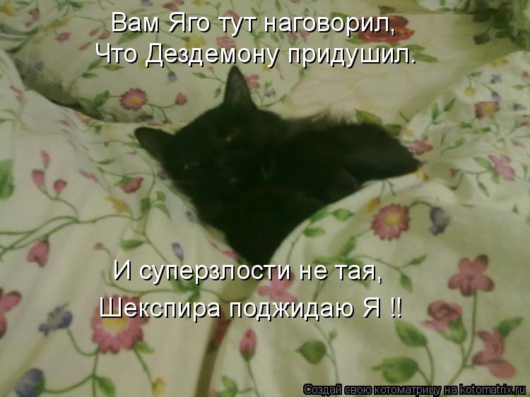 Вам Яго тут наговорил, Что Дездемону придушил. И суперзлости не тая, Шекспира поджидаю Я !!... Котоматрица: Вам Яго тут наговорил, Что Дездемону придушил. И суперзлости не тая, Шекспира поджидаю Я !!
