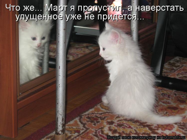 Что же... Март я пропустил, а наверстать упущенное уже не придется...... Котоматрица: Что же... Март я пропустил, а наверстать упущенное уже не придется...