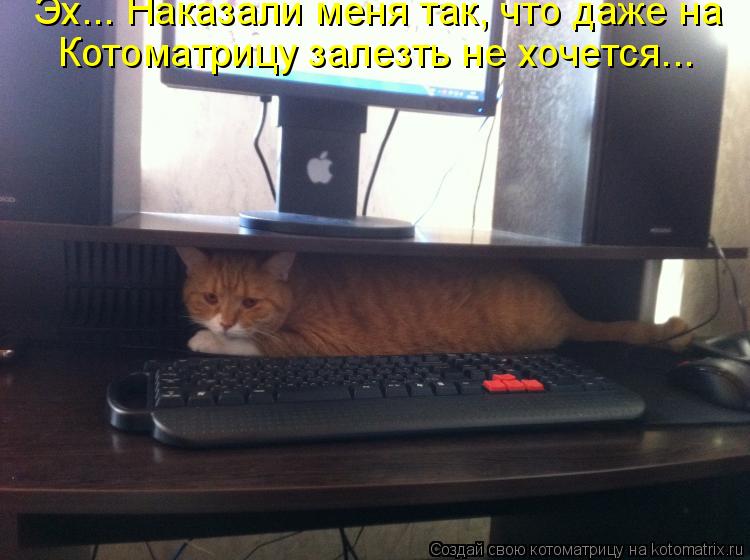 Эх... Наказали меня так, что даже на Котоматрицу залезть не хочется...... Котоматрица: Эх... Наказали меня так, что даже на Котоматрицу залезть не хочется...