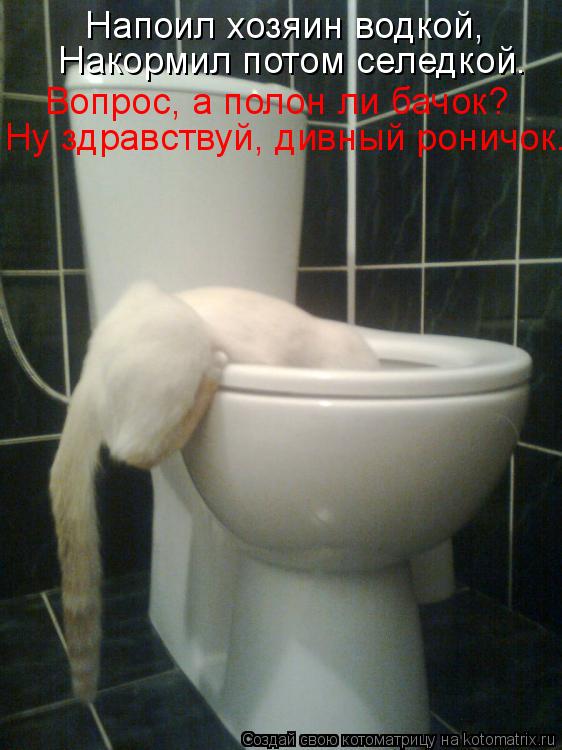 Напоил хозяин водкой, Накормил потом селедкой. Вопрос, а полон ли бачок? Ну здравствуй, дивный роничо... Котоматрица: Напоил хозяин водкой, Накормил потом селедкой. Вопрос, а полон ли бачок? Ну здравствуй, дивный роничок.