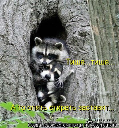 А то опять стирать заставят... Тише...тише...... Котоматрица: А то опять стирать заставят... Тише...тише...