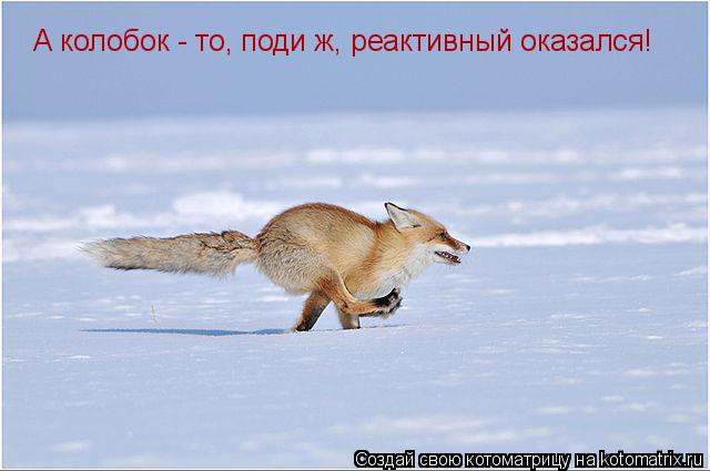 Котоматрица: А колобок - то, поди ж, реактивный оказался!