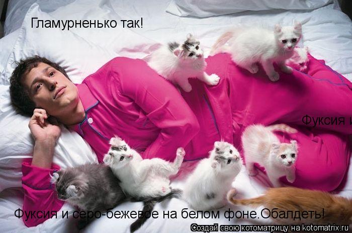 Котоматрица: Гламурненько так! Фуксия и серо-бежевое на белом фоне.Обалдеть! Фуксия и серо-бежевое на белом фоне.Обалдеть!