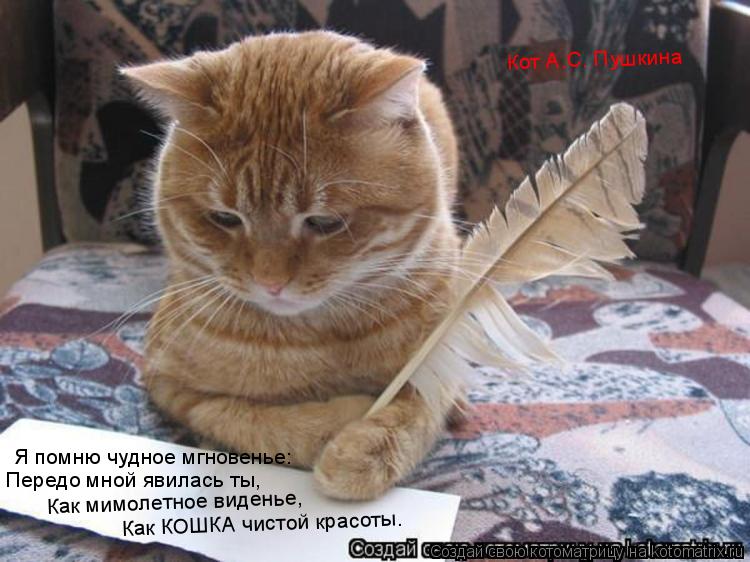 Котоматрица: Я помню чудное мгновенье: Передо мной явилась ты, Как мимолетное виденье, Как КОШКА чистой красоты. Кот А.С. Пушкина