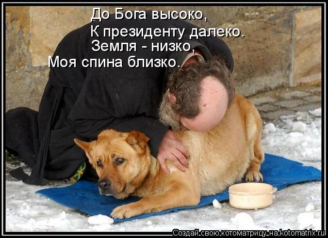 Котоматрица: До Бога высоко, К президенту далеко. Земля - низко, Моя спина близко.