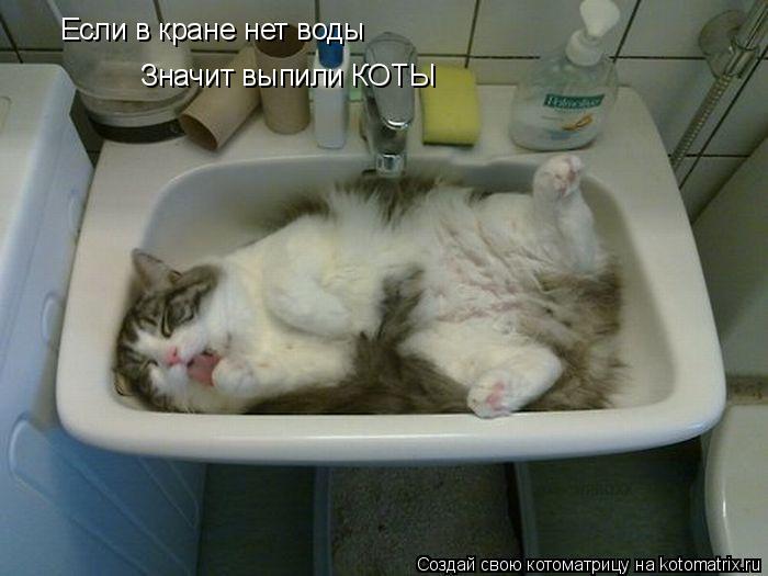 Котоматрица: Если в кране нет воды Значит выпили КОТЫ