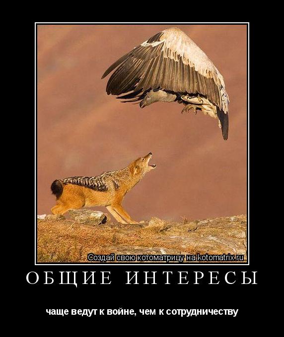 общие интересы чаще ведут к войне, чем к сотрудничеству... Котоматрица: общие интересы чаще ведут к войне, чем к сотрудничеству