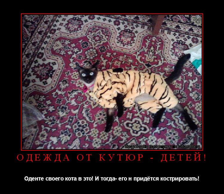 Котоматрица: Одежда от кутюр - детей! Оденте своего кота в это! И тогда- его н придётся кострировать!
